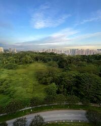 Blk 467A West Plains @ Bukit Batok (Bukit Batok), HDB 4 Rooms #555744761